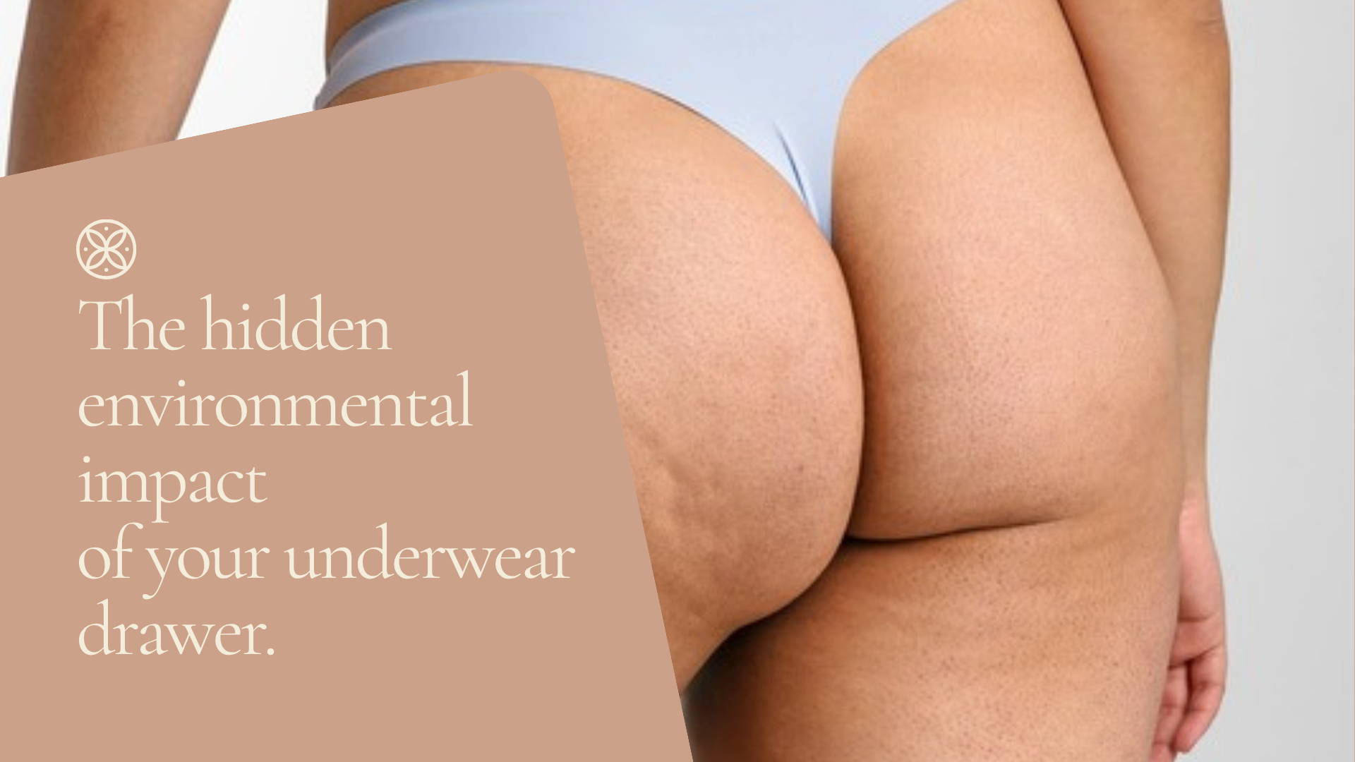 The Hidden Environmental Impact of Your Underwear Drawer